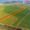 METRO - VARIANTA OVIDIU, TEREN INVESTITIE 15.000 MP!