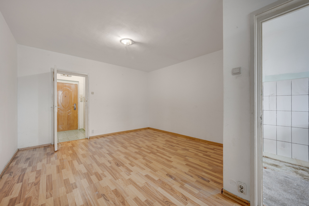 LIVIU REBREANU - PARK LAKE, GARSONIERA 30 MP, PANORAMA! 